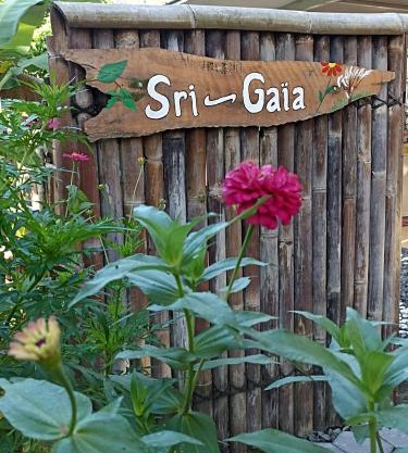 Sri Gaïa Yogyakarta