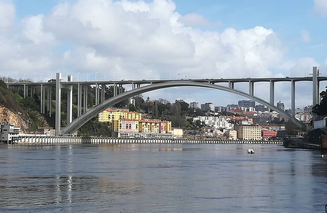 Starfish House, House on the bank of the Douro River