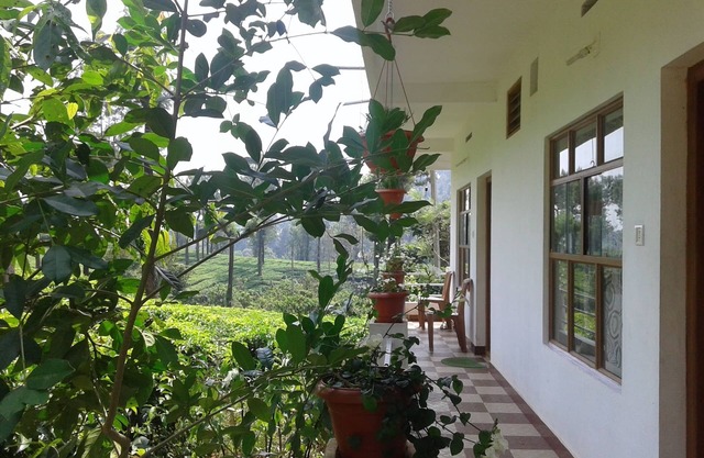 Starlit holidays homes Chithirapuram near Munnar - Room #1