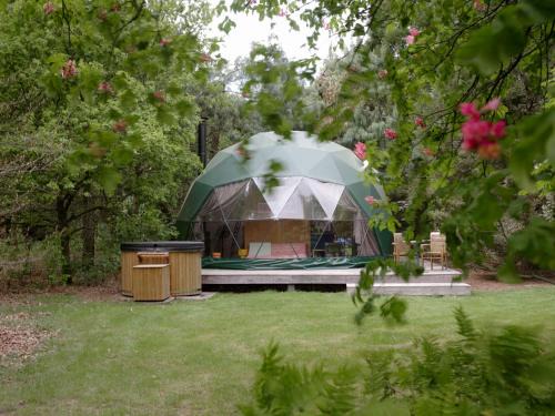 Stay Classy - Domes
