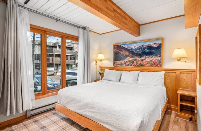 Stay In The Heart Of Aspen! Steps to Gondola, Shops, Dining. Wood FP, W/D, First Floor Easy Access!