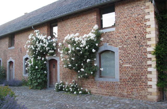 Staying in peace in a historic courtyard