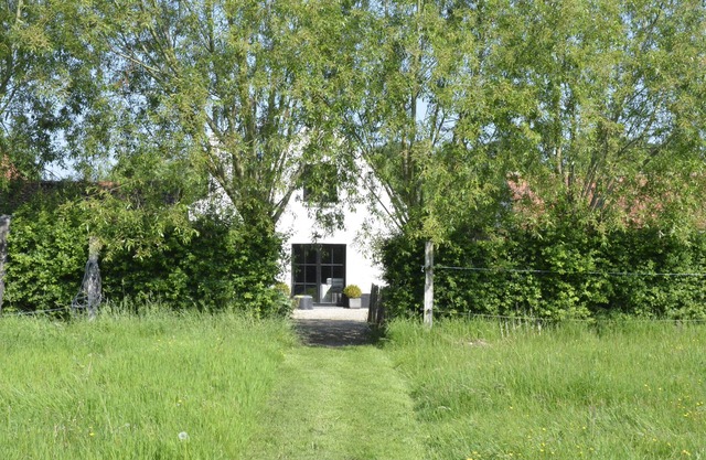 Stee23