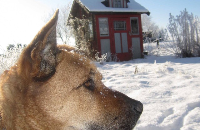Stefan Appel - Ferienwohnung