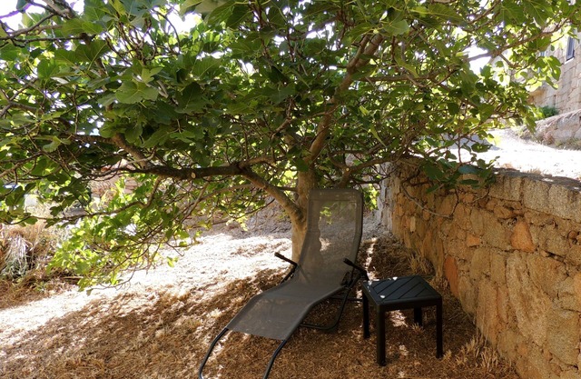 Stone village house with garden in Monacia d'Aulléne / corse-du-sud