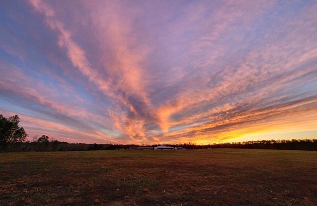Stonewall Manor nCozy 1-bedroom with WiFi and AC on five star horse farm.