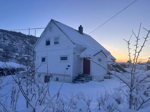 Stort, koselig hus i naturområde