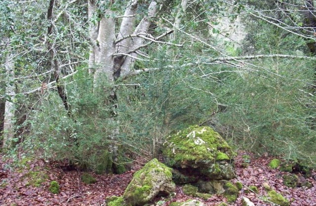 Stroll through its beautiful landscapes and enjoy tranquility