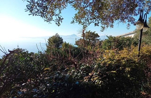 Studio apartment surrounded by greenery in Marina di Maratea