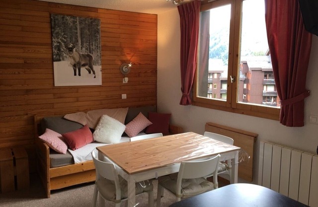 Studio, at the foot of the Belle Plagne slopes, sleeps 4, wifi included.