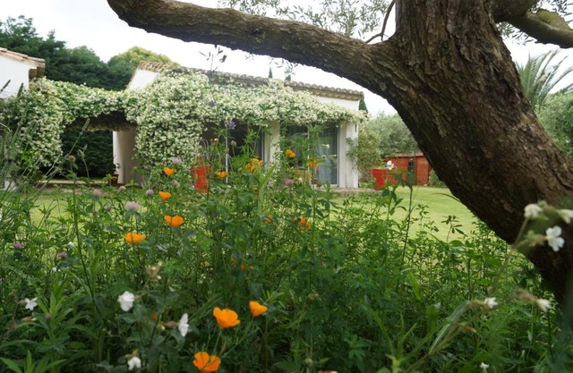 Studio au coeur de la petite camargue
