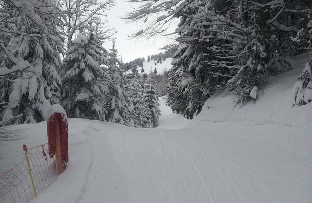 Studio in the mountains at the foot of the ski slopes