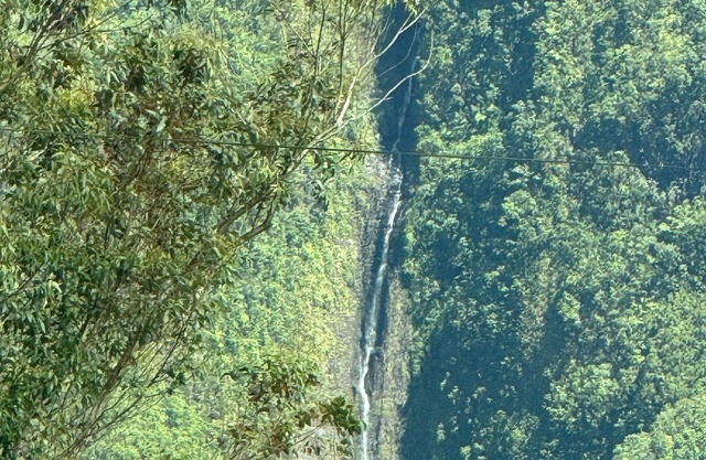 Studio Léva