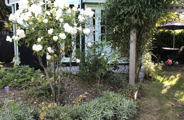 Studio set in beautiful english cottage gardens