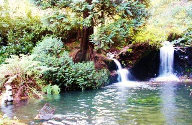 Stunning panoramic views & 2 acre woodland with 5 pools, waterfalls & 17 benches