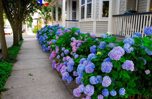 Stunning! Vacation Rentals Ocean Grove & Vacation Rentals Asbury Park