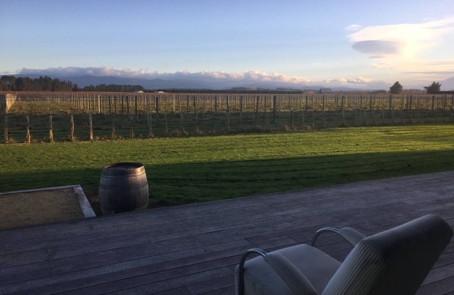 Stunning views of the Tararuas and adjacent vineyard