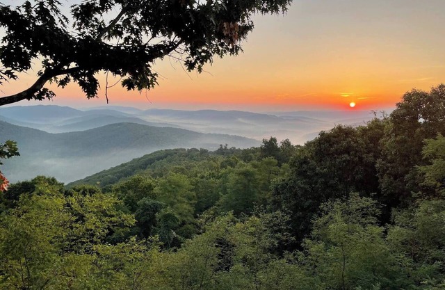 Stunning Views: Secluded 5 bedroom Mountain Homen