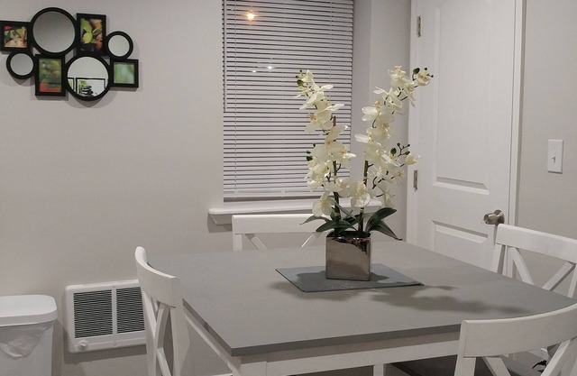 Stylish Newly renovated * Private Aptarment* 1BR