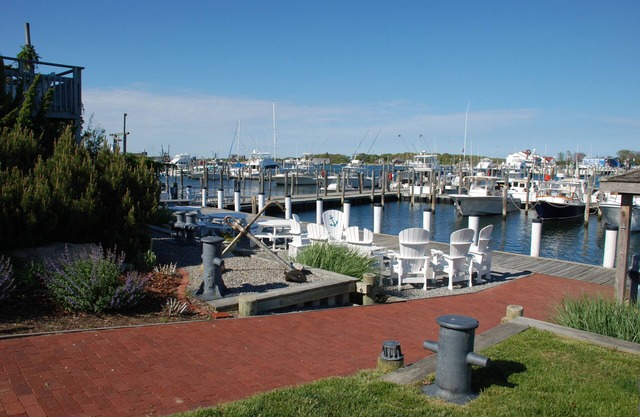Stylish Renovated One Bedroom in the heart of montauk