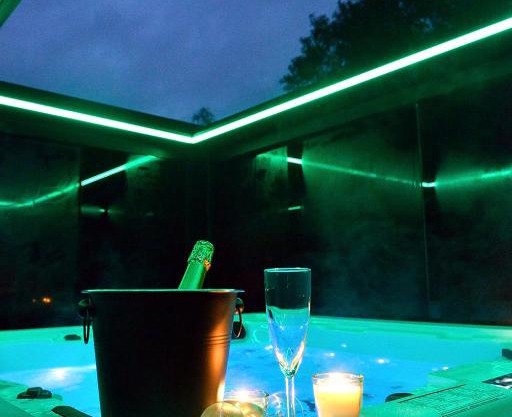 SuiteDreams-Jungle Suite - Liège