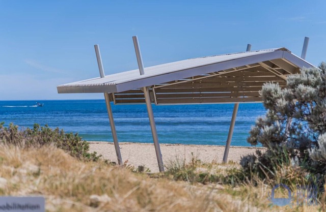 Summer Breeze at Avalon Beach