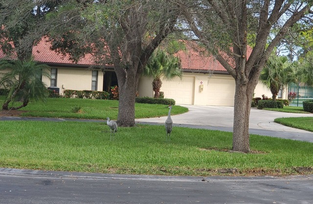 SUMMER SPECIAL LOWER PRICE. 10% MO DISC.!nBeautiful Condo 10 Mins to Siesta Key