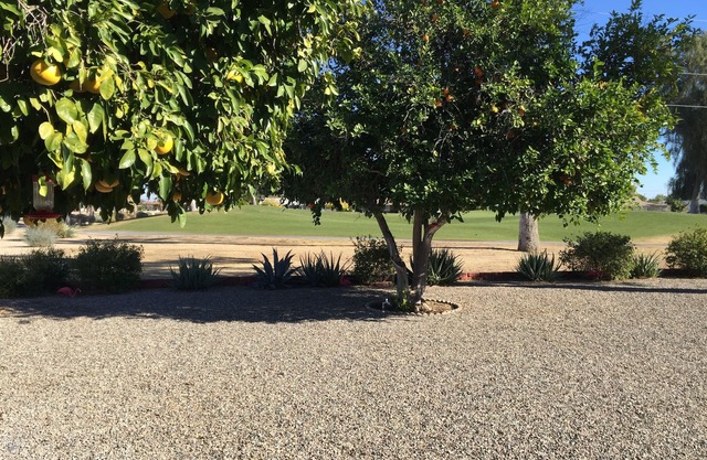 SUN CITY AZ, 17th HOLE OF GOLF CRS LOCATION, MIN. 30+ NT STAYS