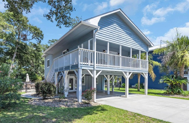 Sun, Sand & Wagging Tails – Pet-Friendly Beach Escape in NMB!