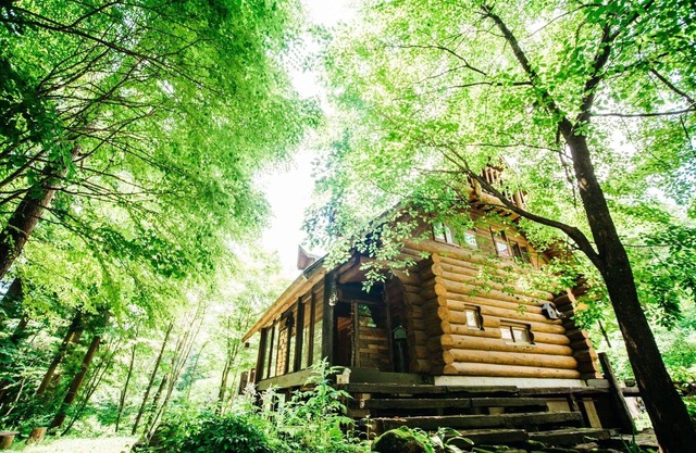 Sunnsnow Log House
