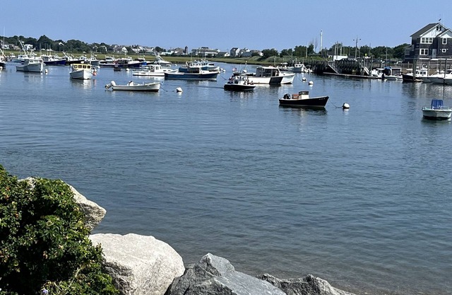 Sunny 2-bedroom beach cottage, walk to beach!