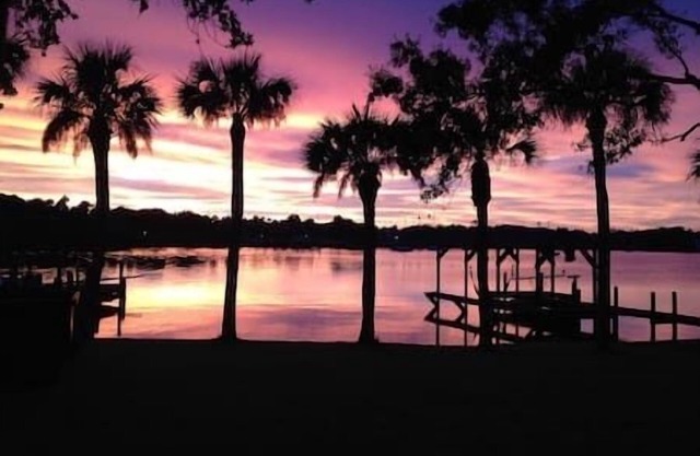Sunset on the Bayfront - Kayak with the dolphins!