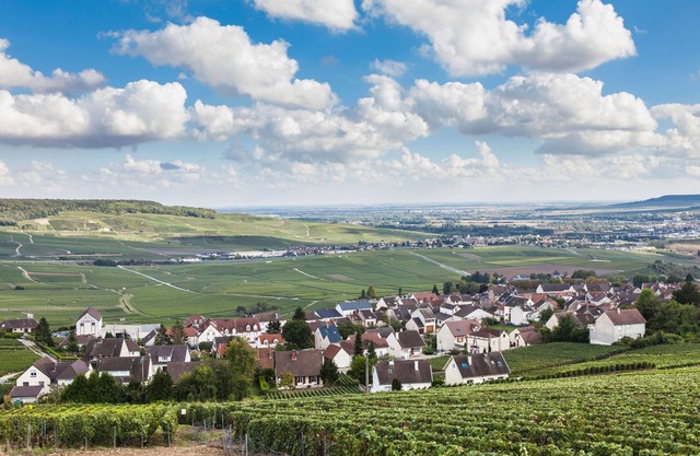 Superb "Chardonnay" studio overlooking the valley