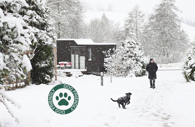 Sustainable vacation with a dog at the Green Tiny House Nature 1 in Osterode am Harz