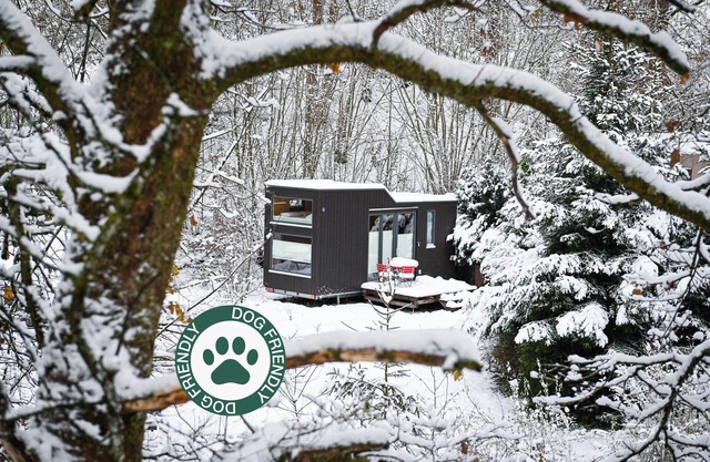 Sustainable vacation with a dog at the Green Tiny House Nature 4 in Osterode am Harz