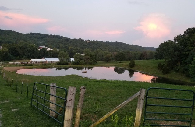 Swim, Fish, Hike, Horseback