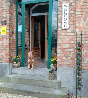' t Geel Huizeken - B&B - koffiehuis