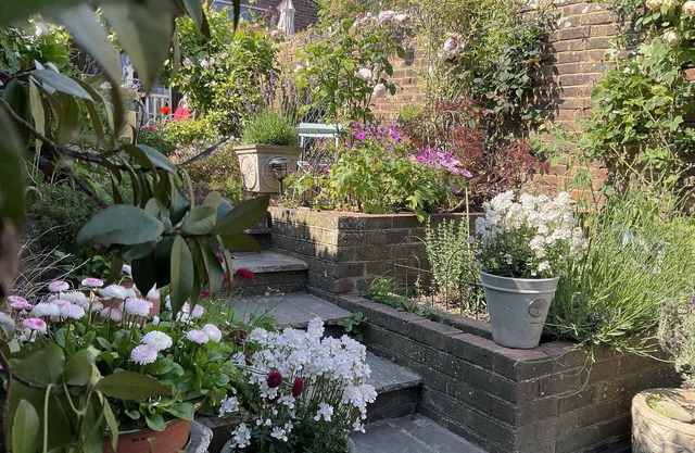 Tarrant St Cottage with lovely garden