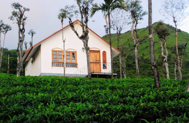 Tea Terrace Vythiri Resort