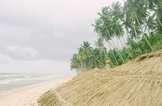 Tenack Beach Resort - Nzulezu