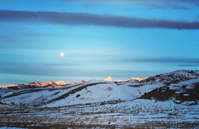 Tent # 6 @ Tiny Town Campground- Boutique camping