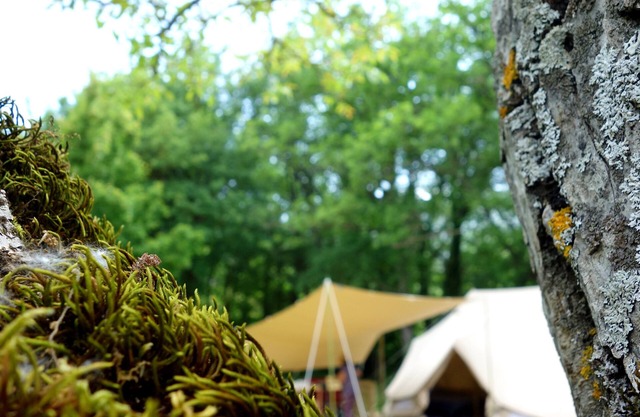Tentes Lodges Atypik Nomad