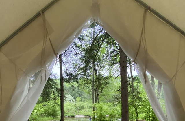 Tentrr Signature Site - Daydreamin on Dyberry Creek