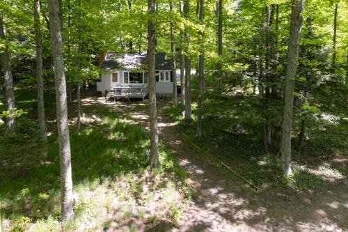 Terrapin Station- 2 Cottages on Glen Lake