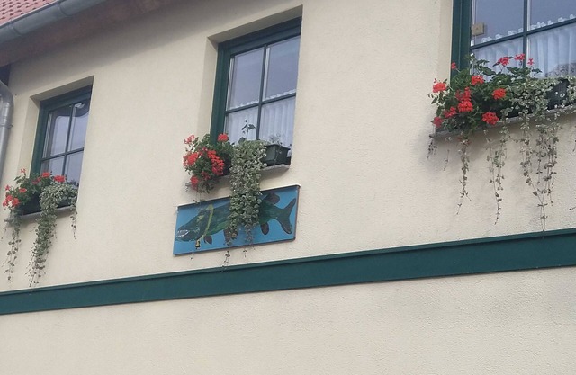 Tetjes Horstel - Ferienwohnung mit Balkon - Tetjes Horstel - Ferienwohnung