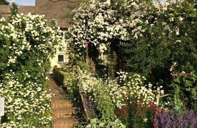 Thatched Cottage B&B