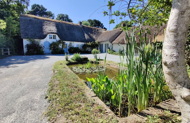 Thatched cottage - Parc de Brière