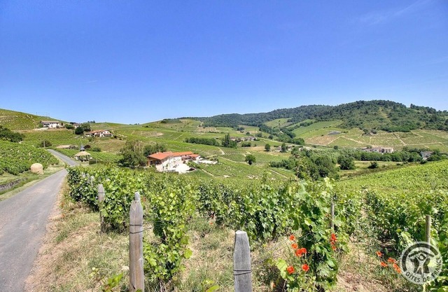 The 3 Aufranc vineyard gîtes