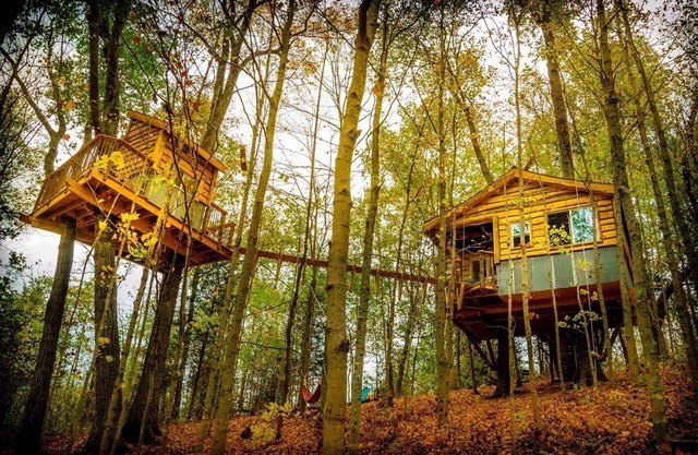 The Aliyah Treehouse with swinging bridge +285 acres hiking trails