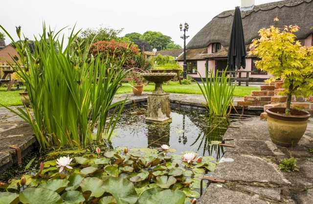 The Anvil Inn